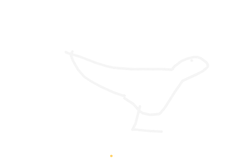 a bird